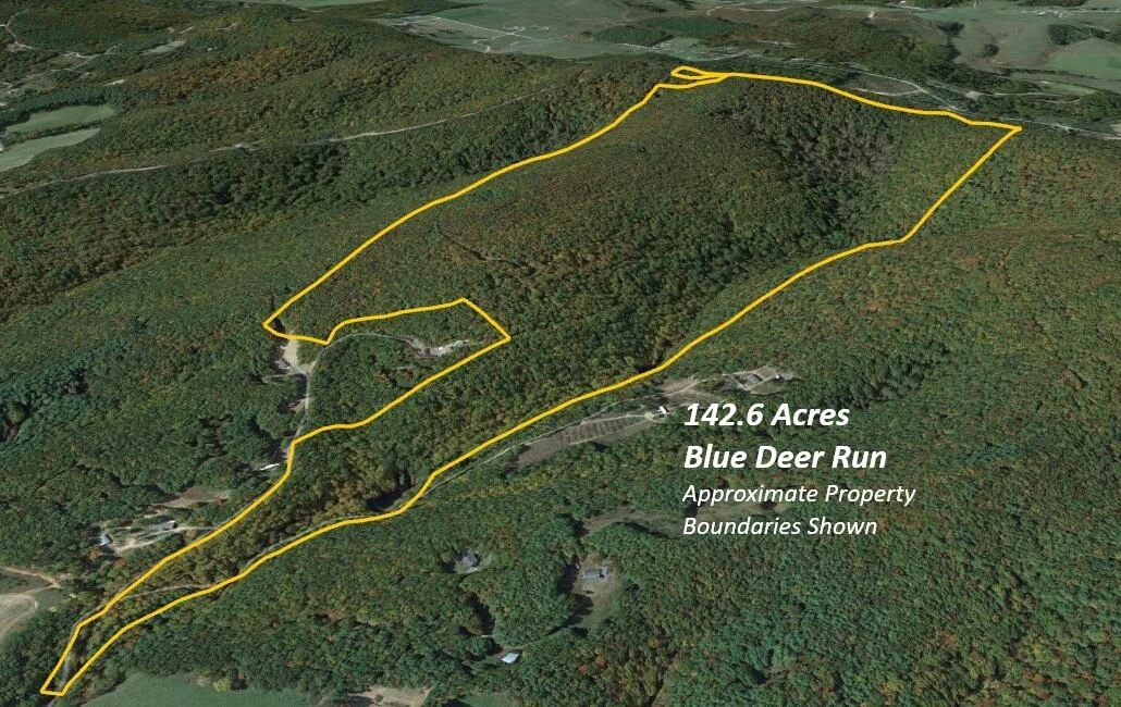 000 Blue Deer Run NW - Photo 6