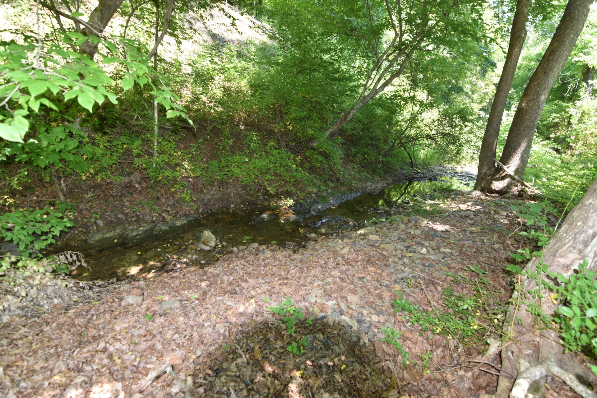 326 Rogers RD - Photo 30