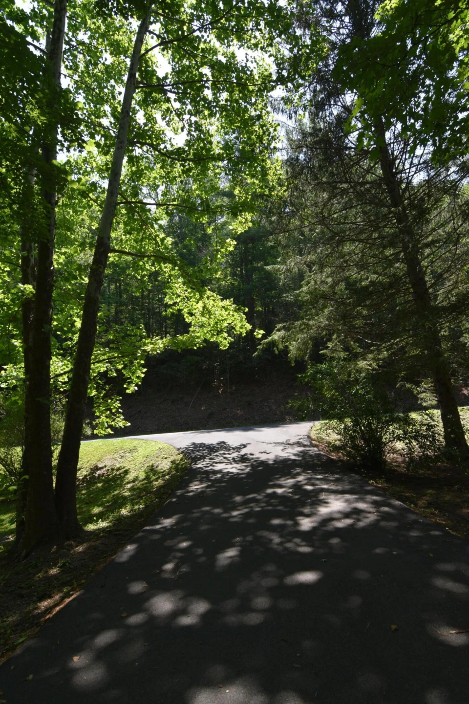 326 Rogers RD - Photo 4