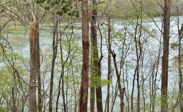 lot 6 Mountain View Shores DR, Pittsville, VA, 24139