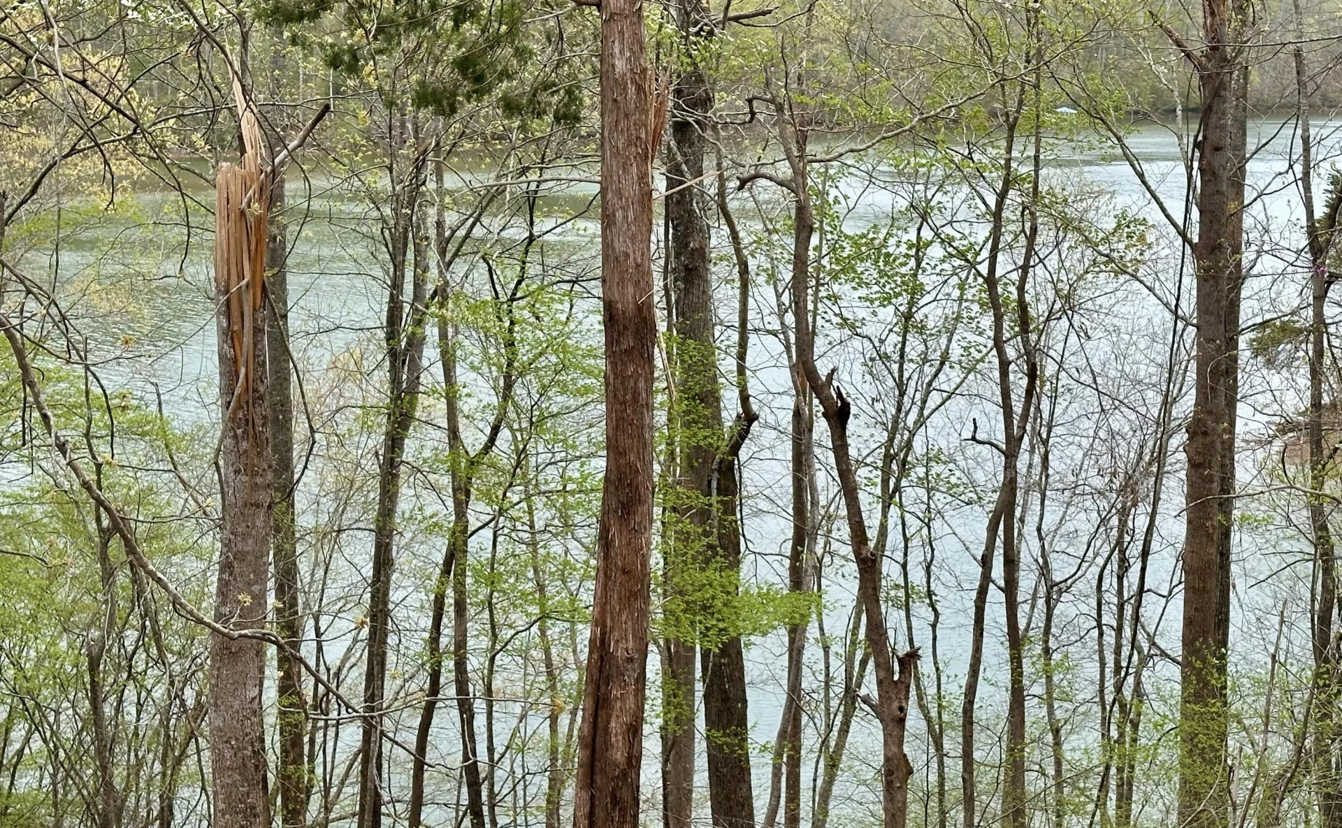 lot 6 Mountain View Shores DR