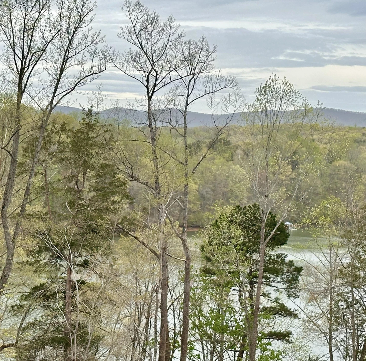 lot 6 Mountain View Shores DR - Photo 3