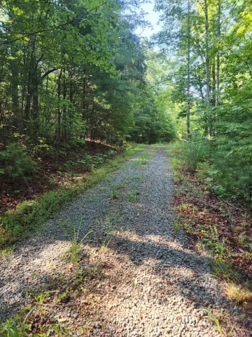 0 Otter DR, Ferrum, VA, 24088