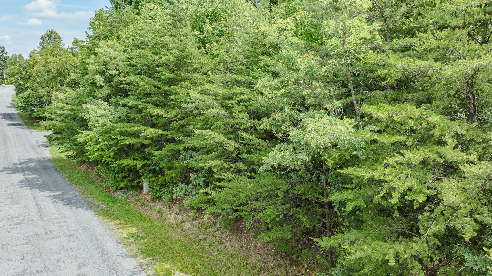 Lot 14 Autumnwood LN - Photo 5