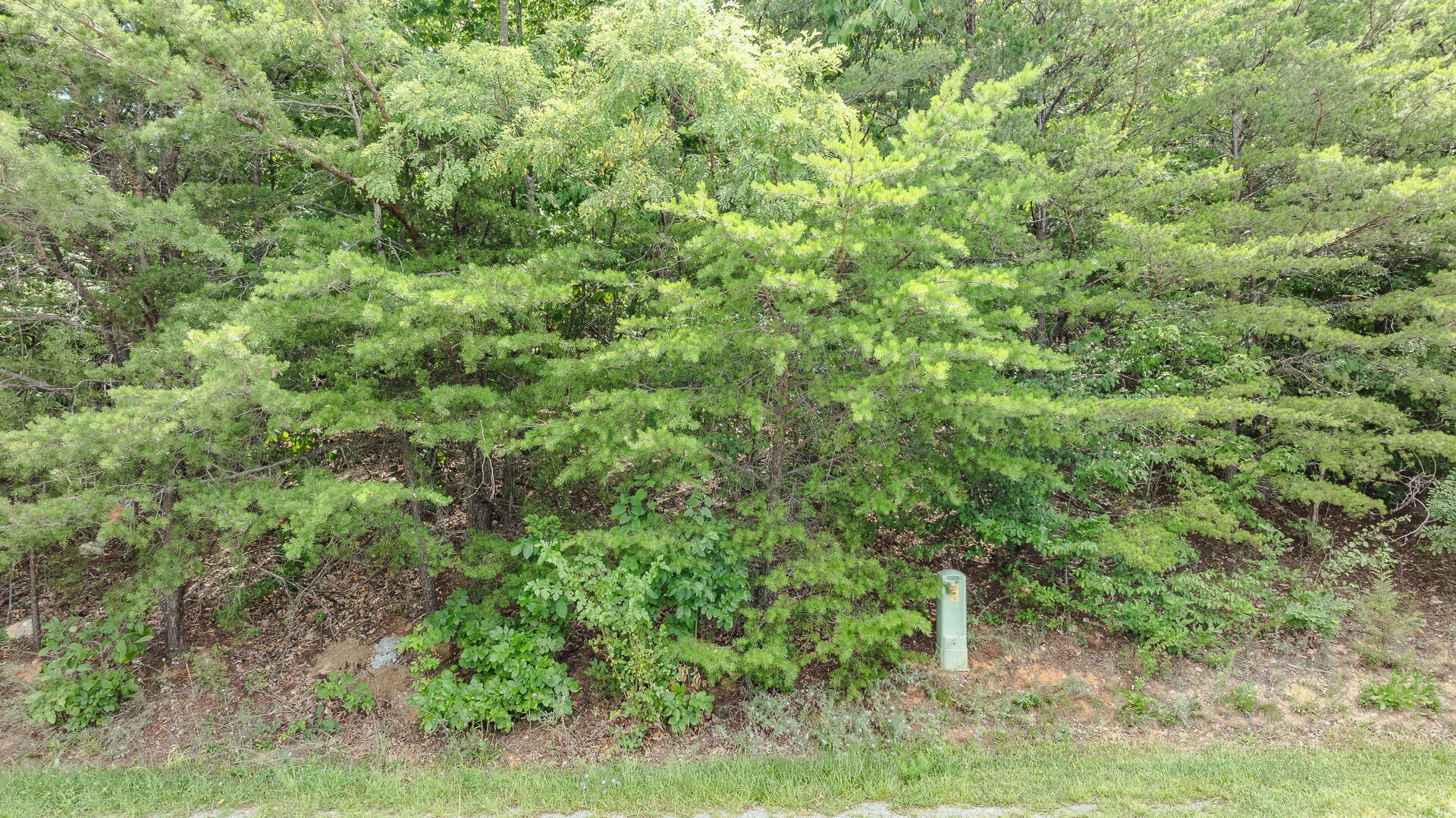 Lot 14 Autumnwood LN - Photo 6