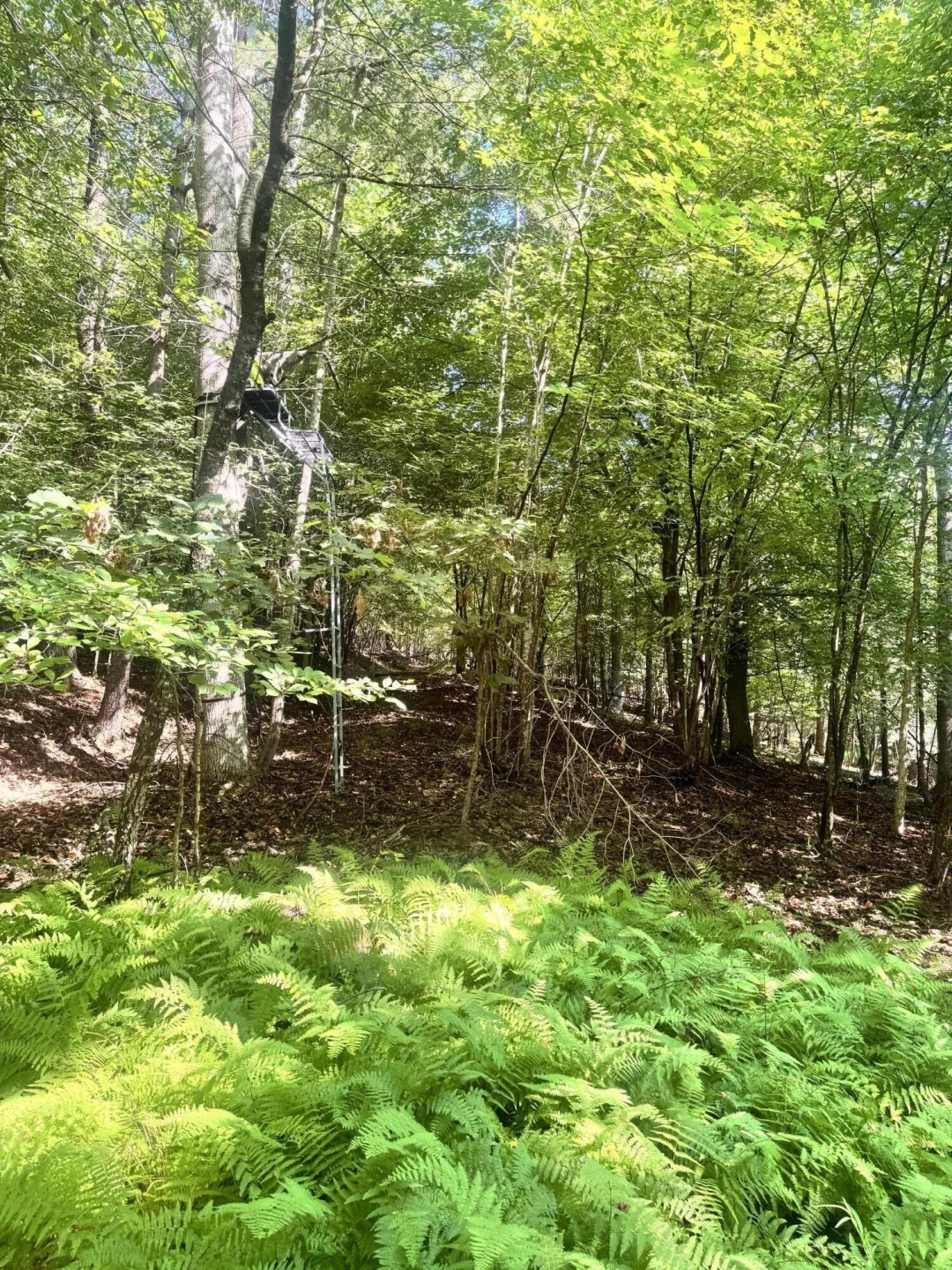885 Clearwater DR - Photo 35
