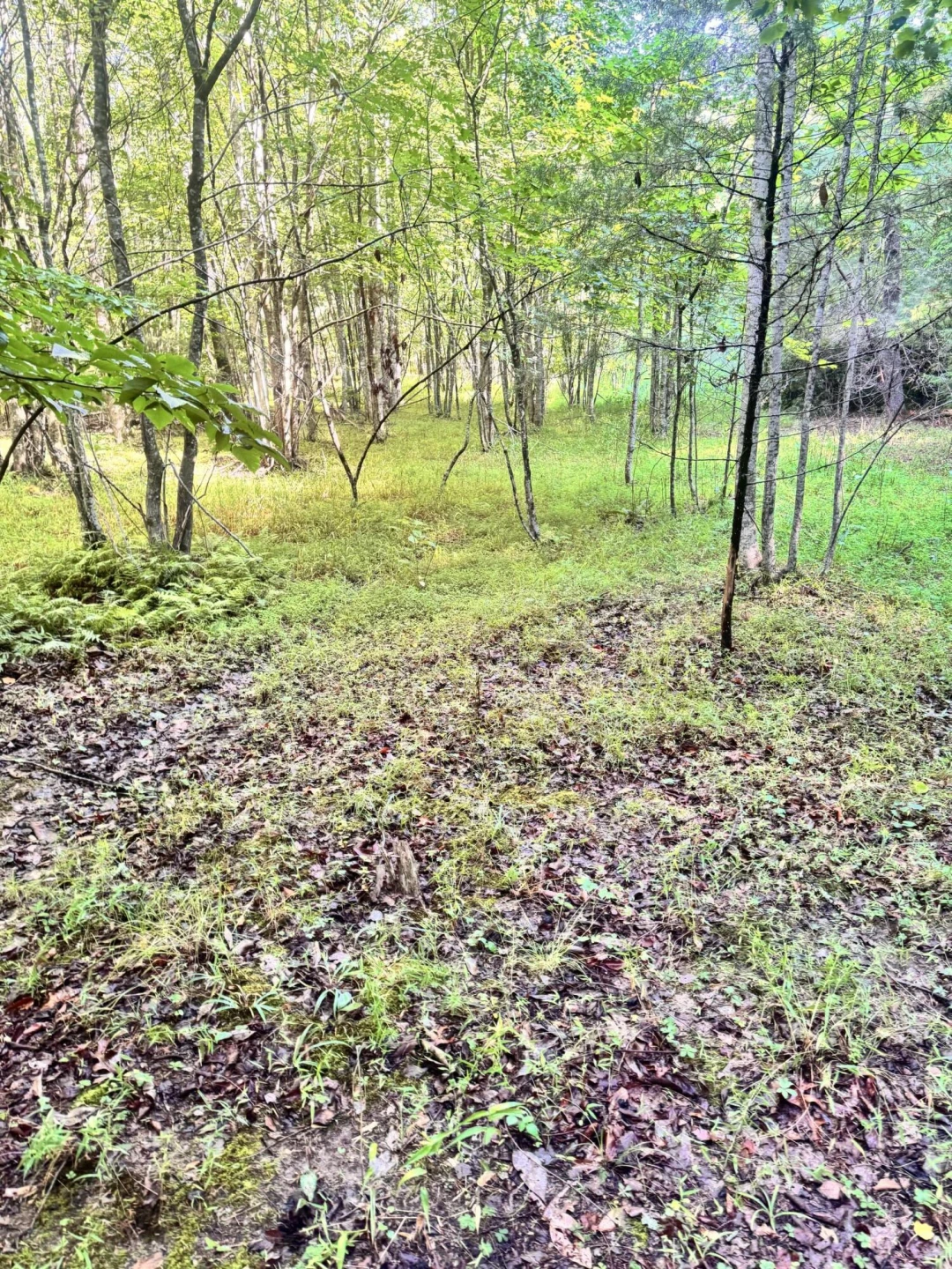 885 Clearwater DR - Photo 37