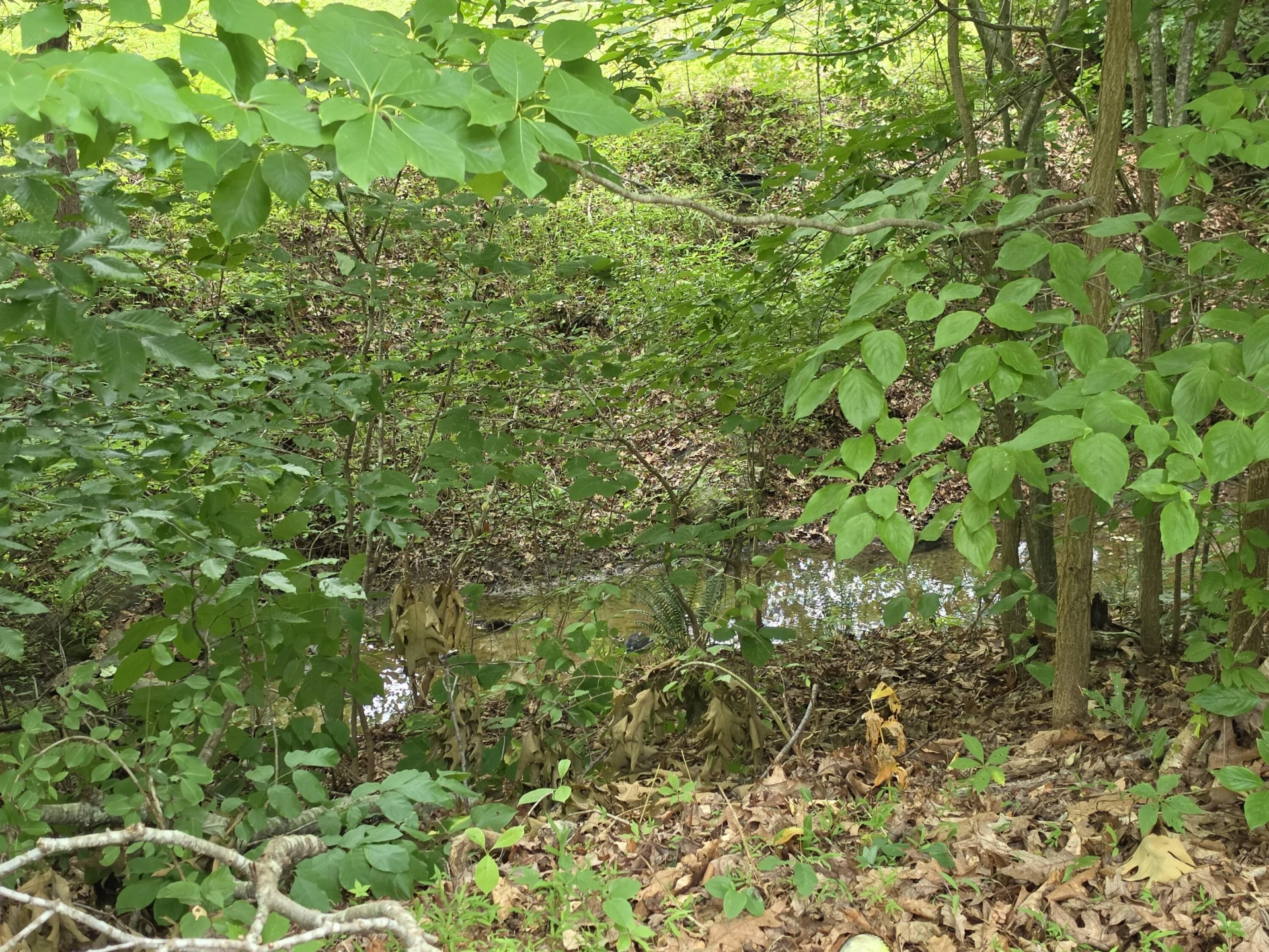 897 Southland DR - Photo 25