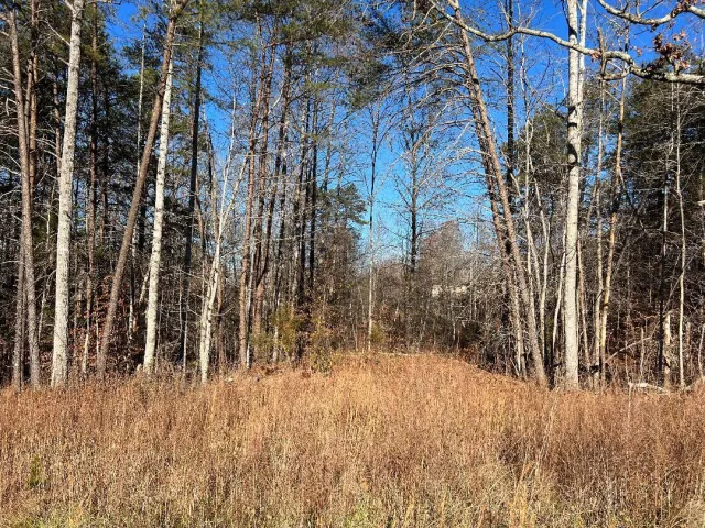 Lot 10 Barrett RD, Hardy, VA, 24101