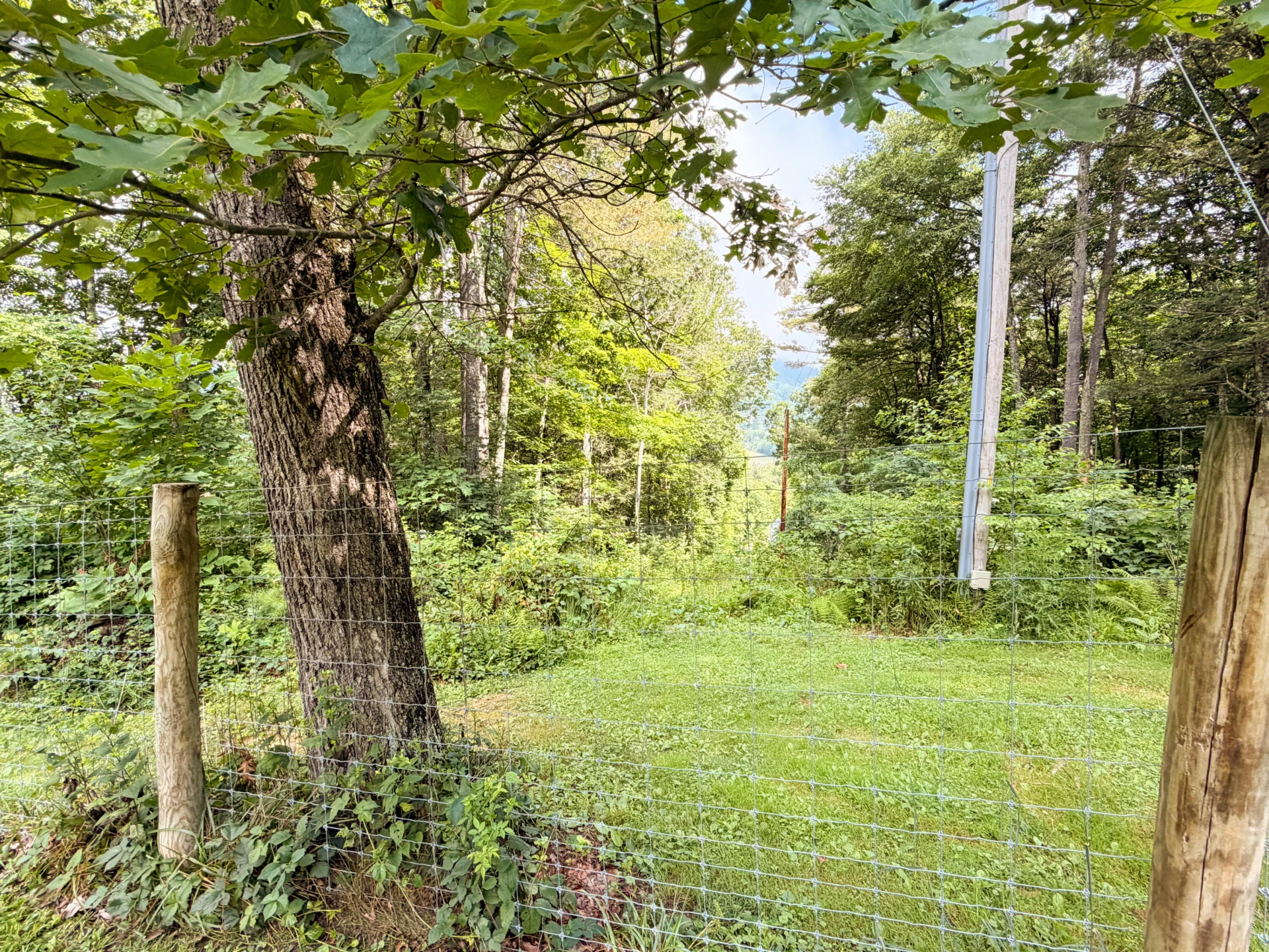 65 Cubbley RD - Photo 66