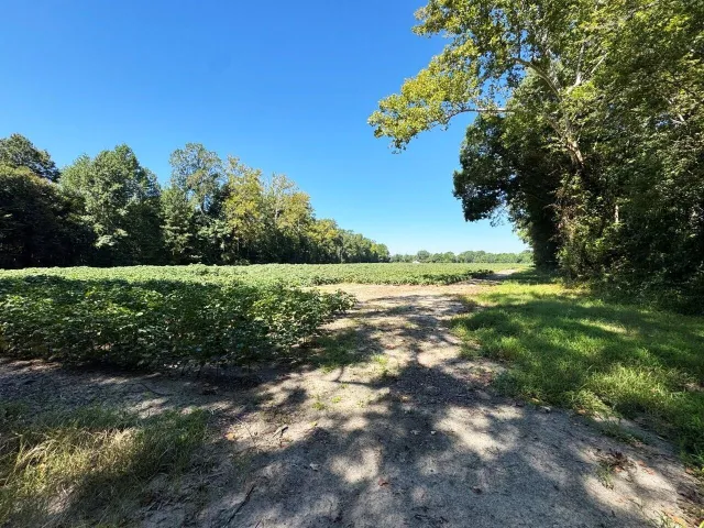 0 Delaware RD