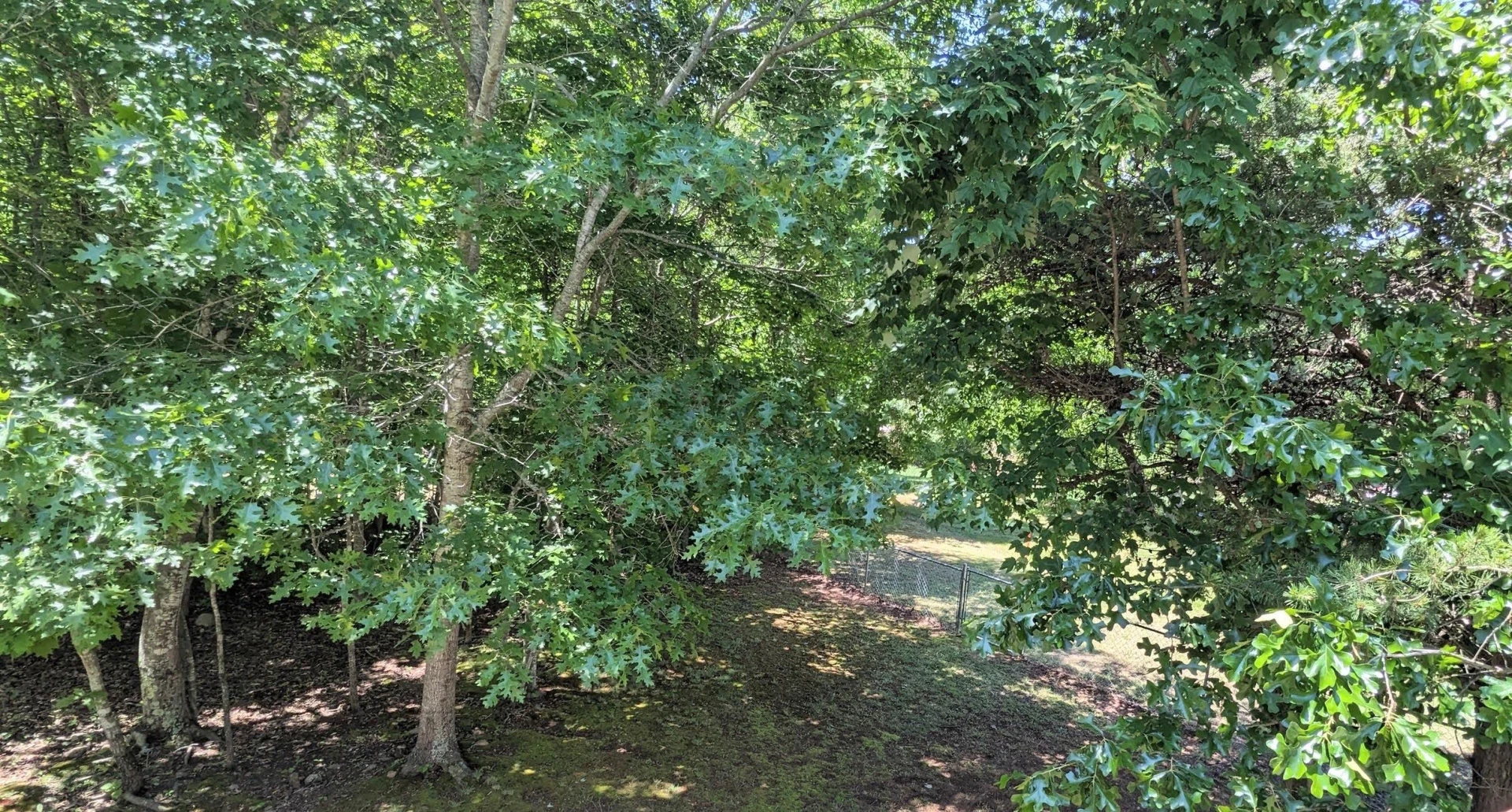 3959 Diamond Hill RD - Photo 16