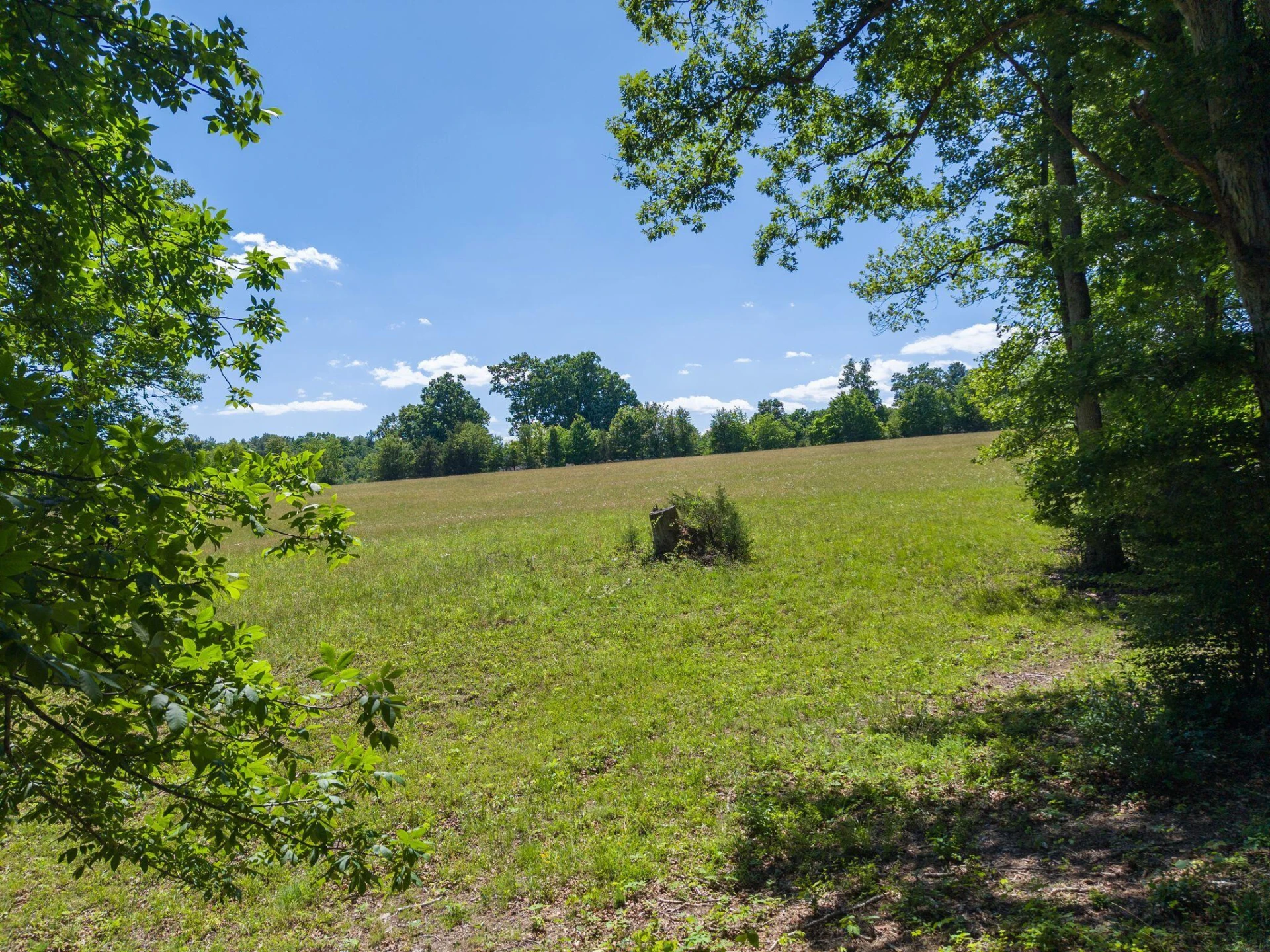 1115 Robin Ridge RD - Photo 41