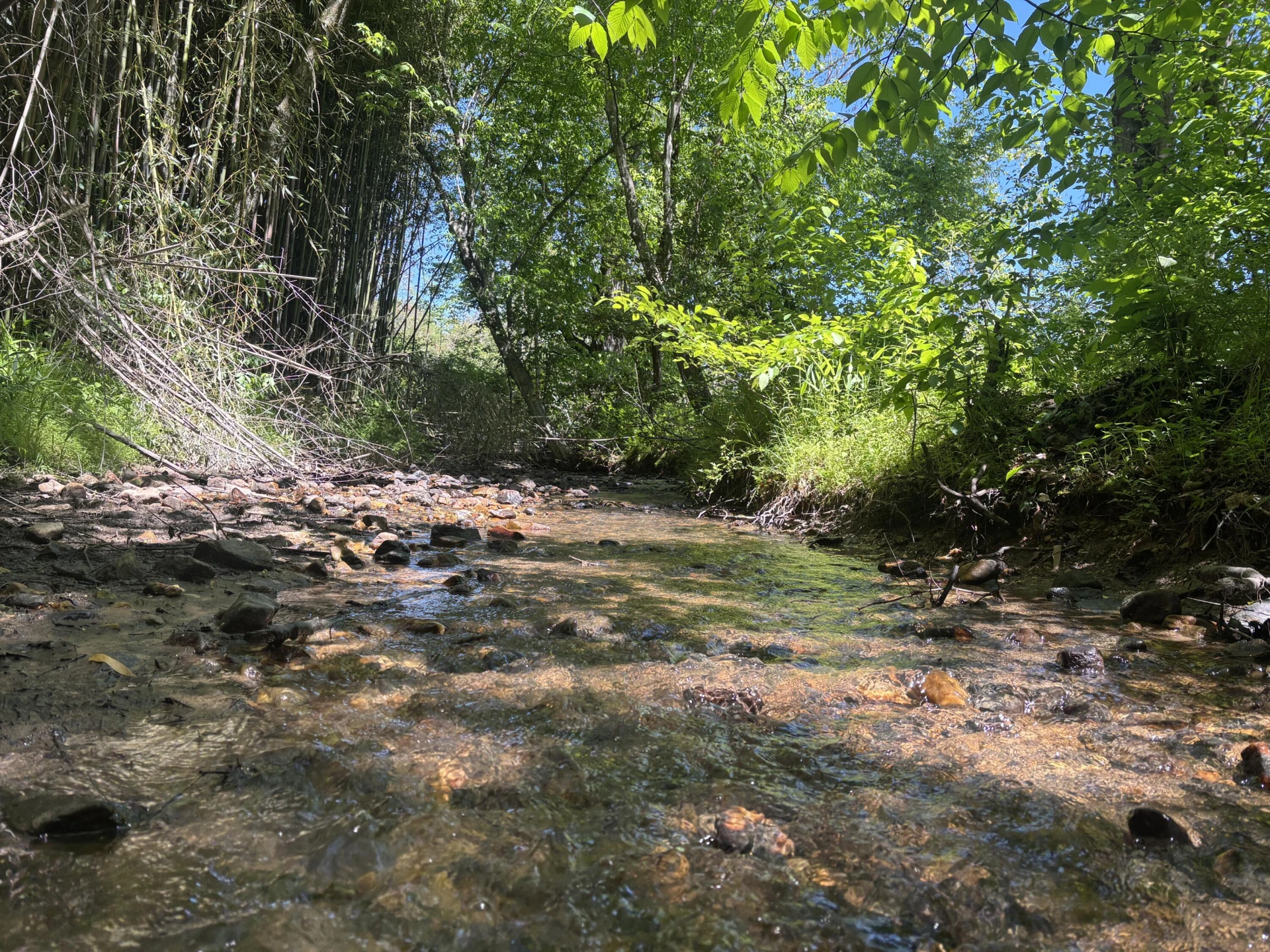 1115 Robin Ridge RD - Photo 44