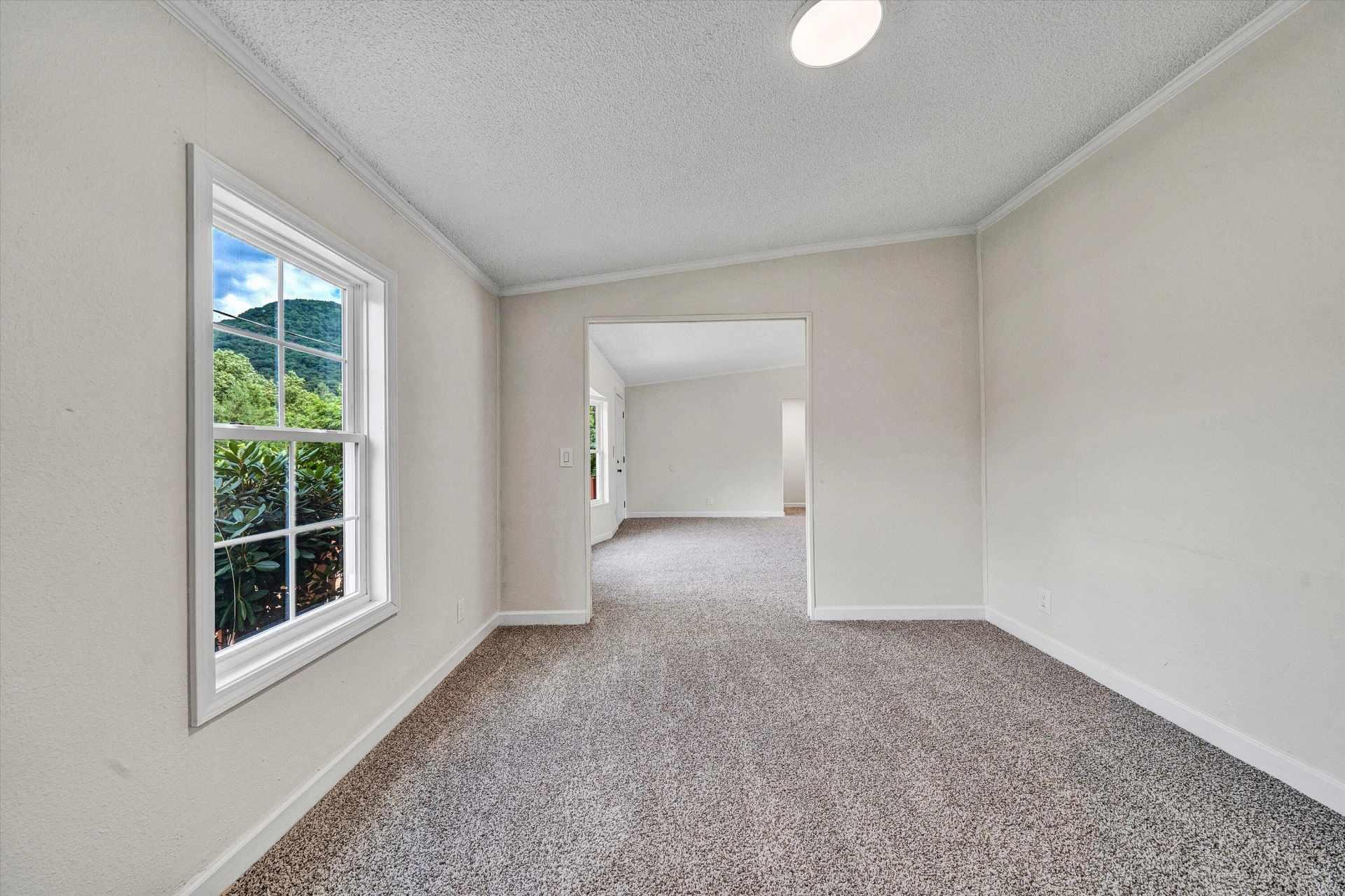 2825 Forage RD - Photo 8