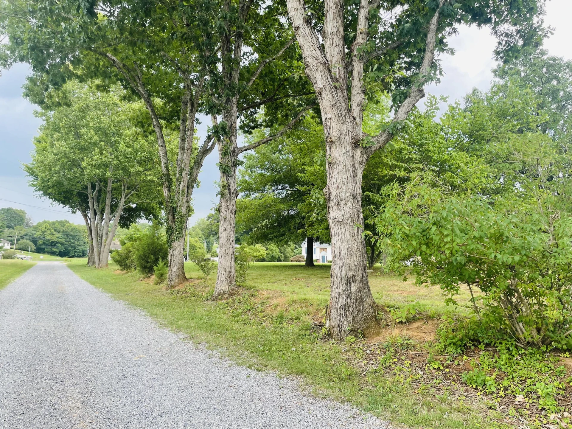 1070 Owl LN - Photo 57