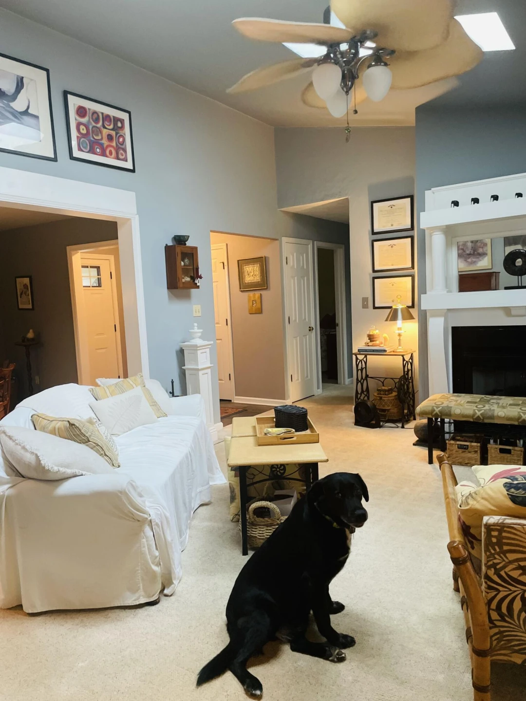 1070 Owl LN - Photo 6