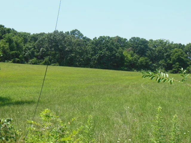 0 Hemlock RD NW, Roanoke, VA, 24017