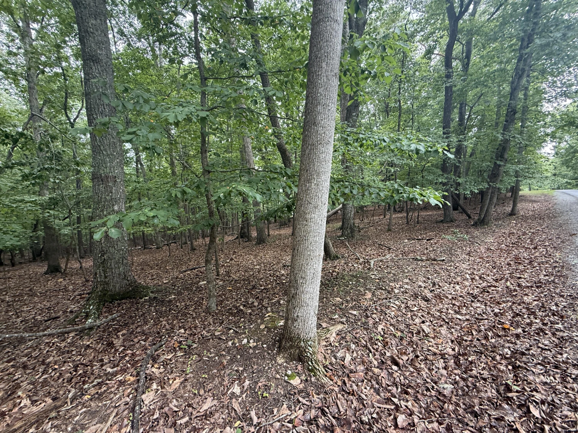 Lot 17 Saunders Point RD