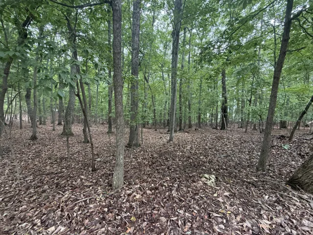 Lot 18 Saunders Point RD