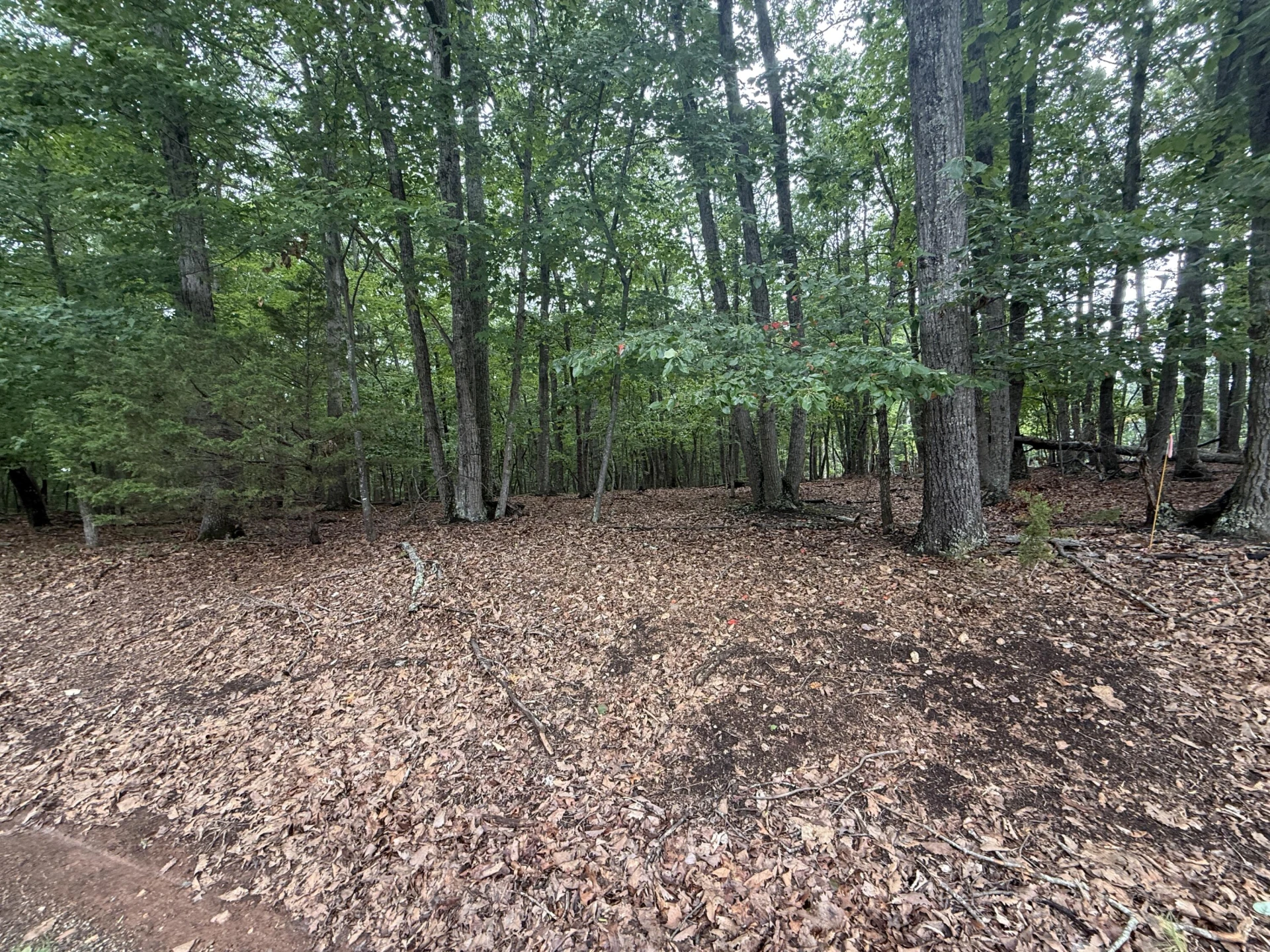 Lot 23 Lee DR