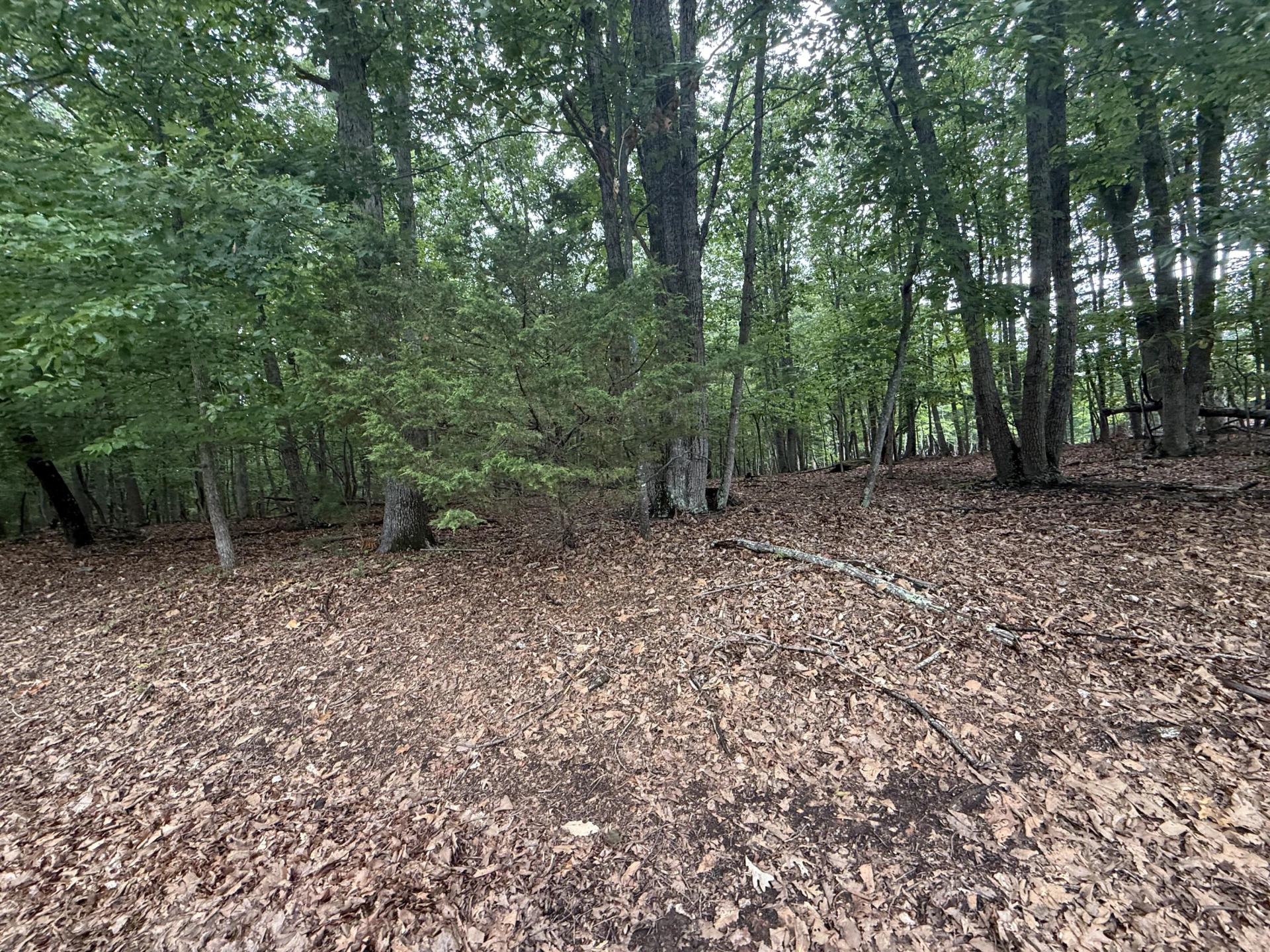 Lot 23 Lee DR - Photo 2