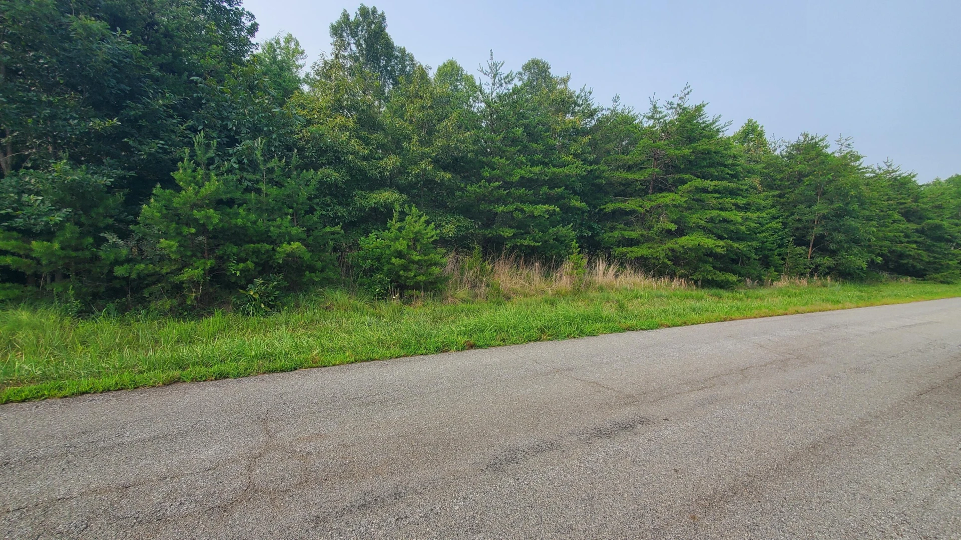 0 Bull Run DR - Photo 5
