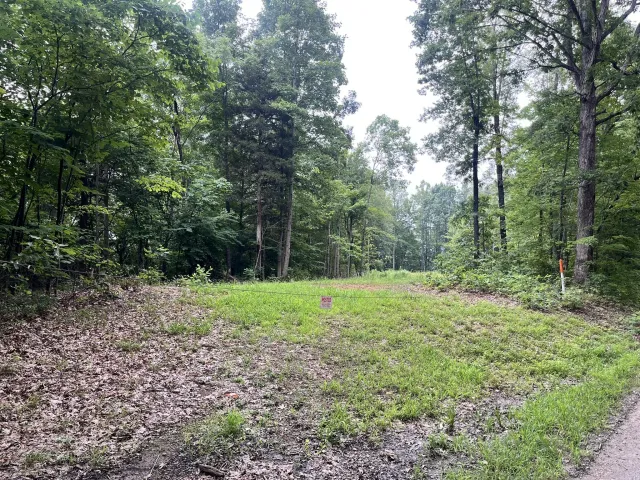 0 Timber Line RD