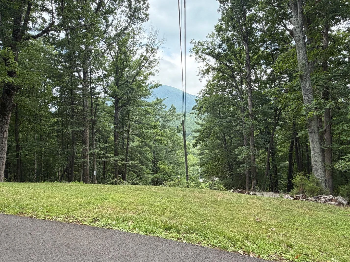 5885 Bent Mountain RD - Photo 6