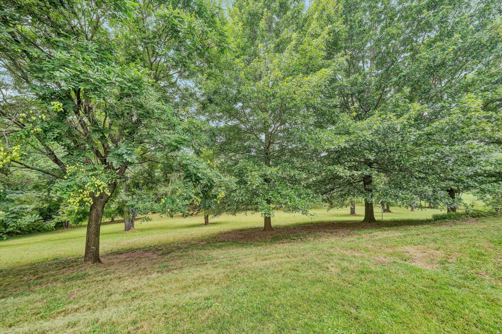 2248 Green Level RD - Photo 45
