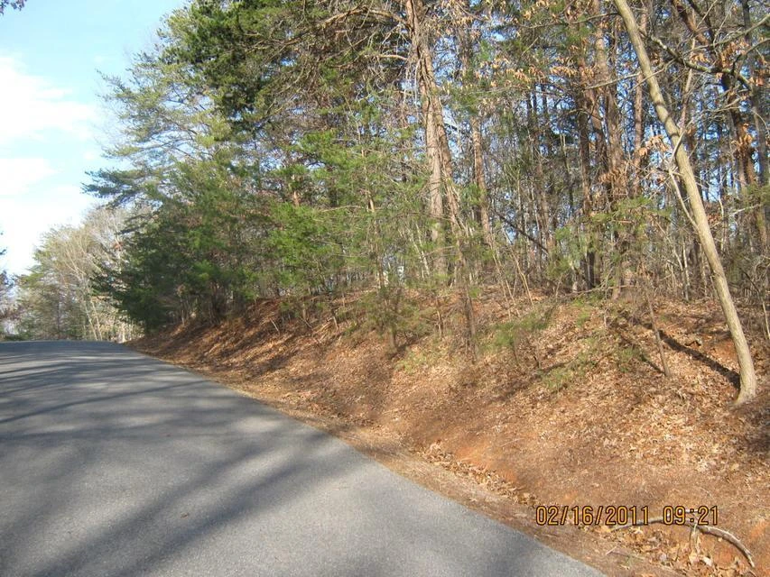 Lot 4 Mulberry Bush LN - Photo 2