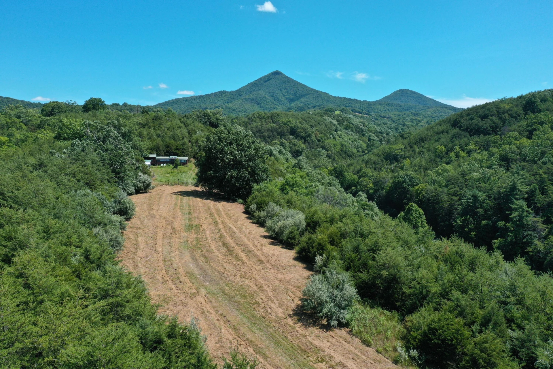 37 Ac. - Sehorn Hollow Rd