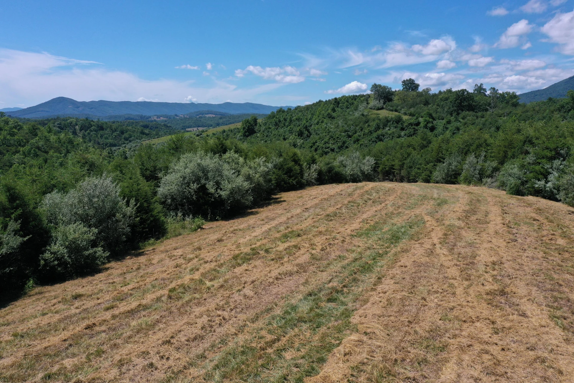 37 Ac. - Sehorn Hollow Rd - Photo 2