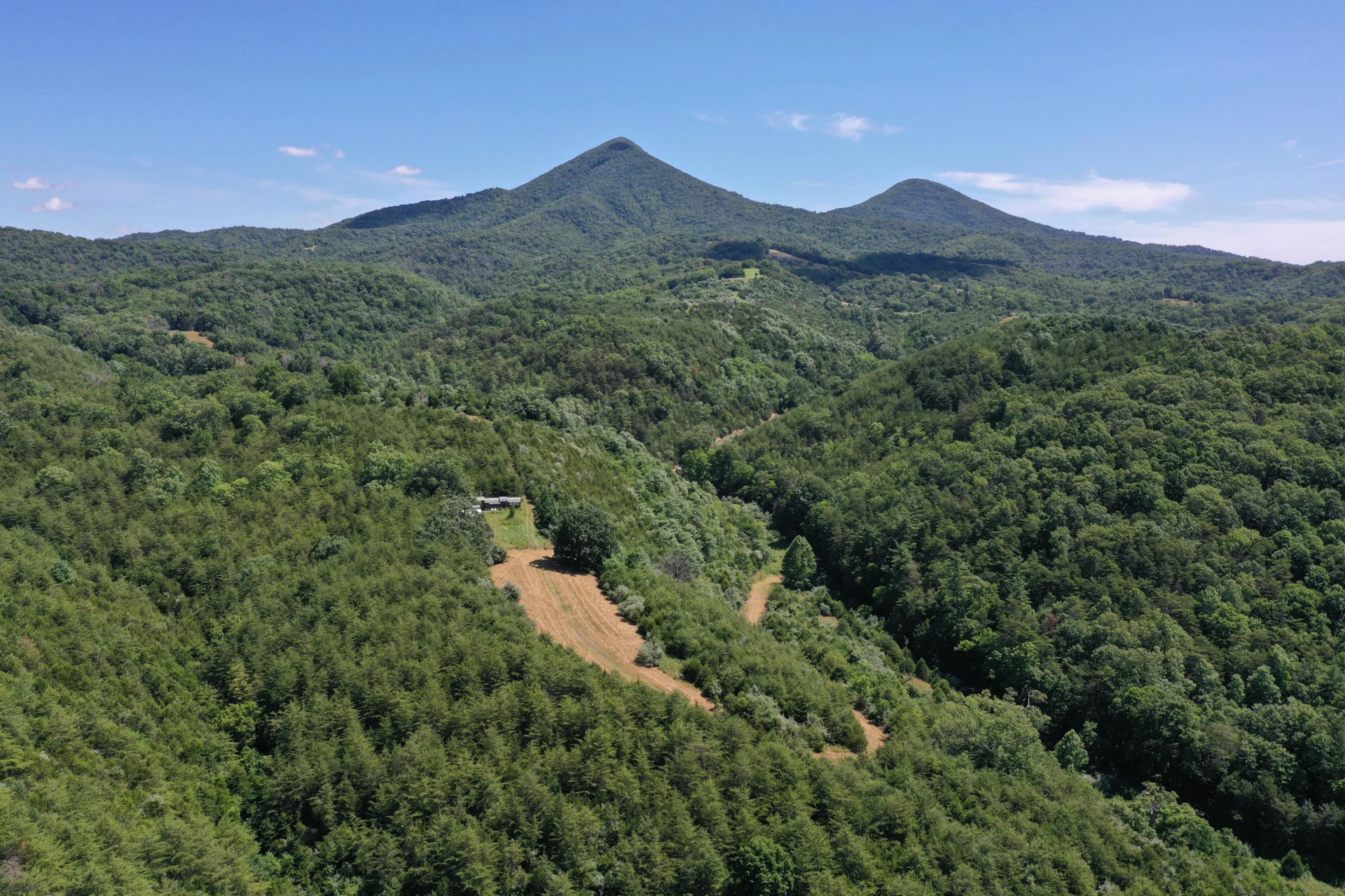 37 Ac. - Sehorn Hollow Rd - Photo 3