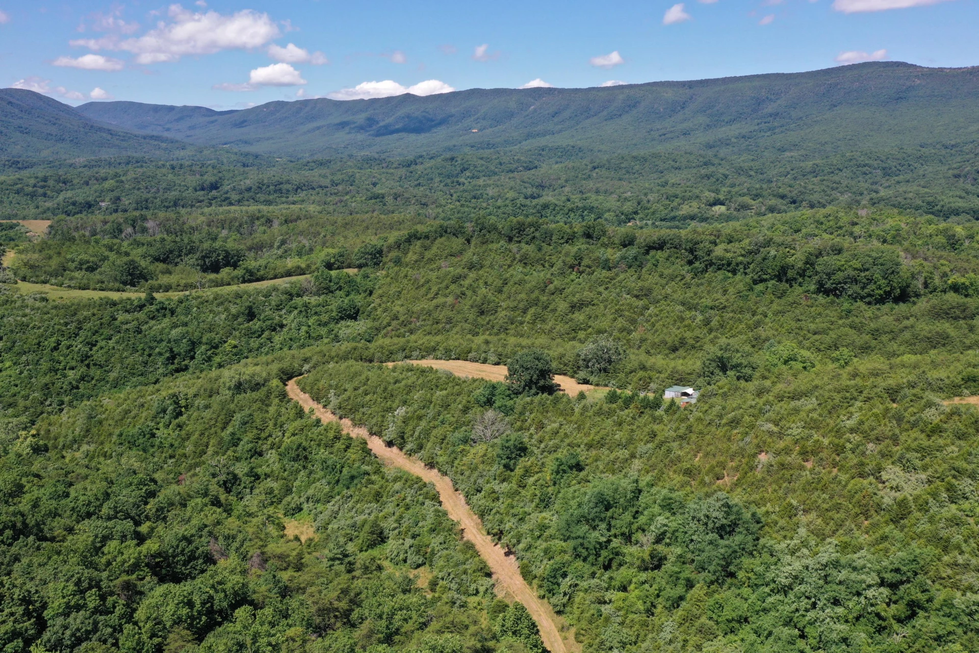 37 Ac. - Sehorn Hollow Rd - Photo 4
