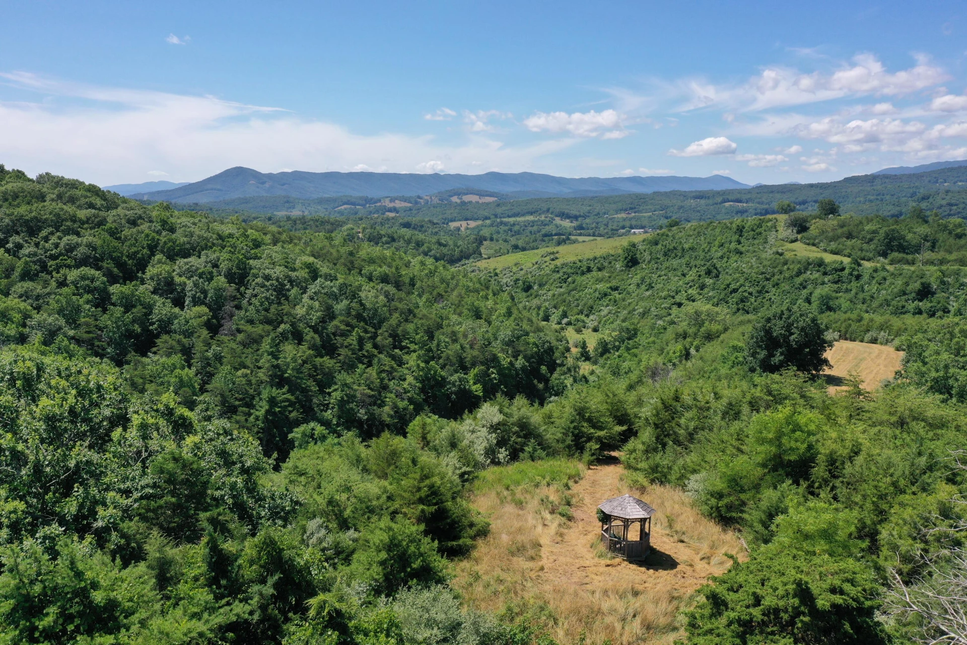 37 Ac. - Sehorn Hollow Rd - Photo 5
