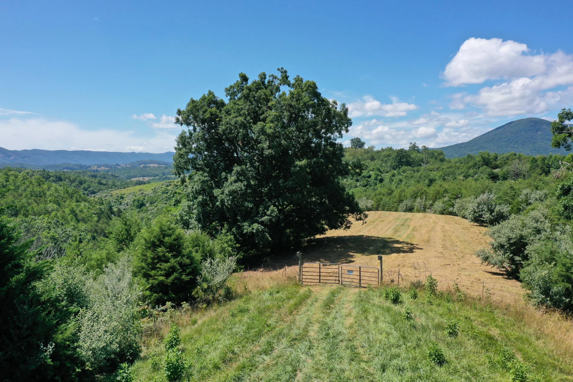 37 Ac. - Sehorn Hollow Rd - Photo 7