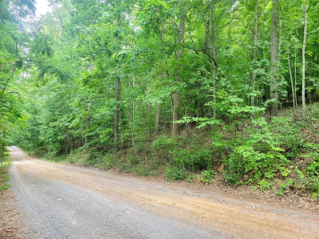 8.22 acs Poplar Place Ln