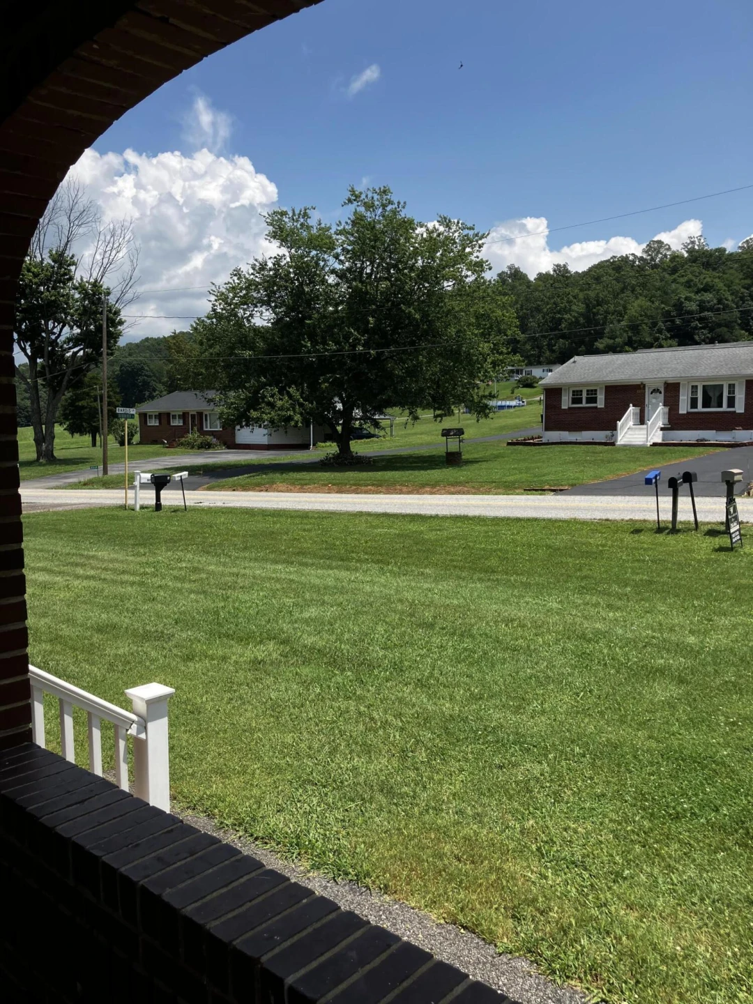 2380 Old Buena Vista Rd - Photo 5