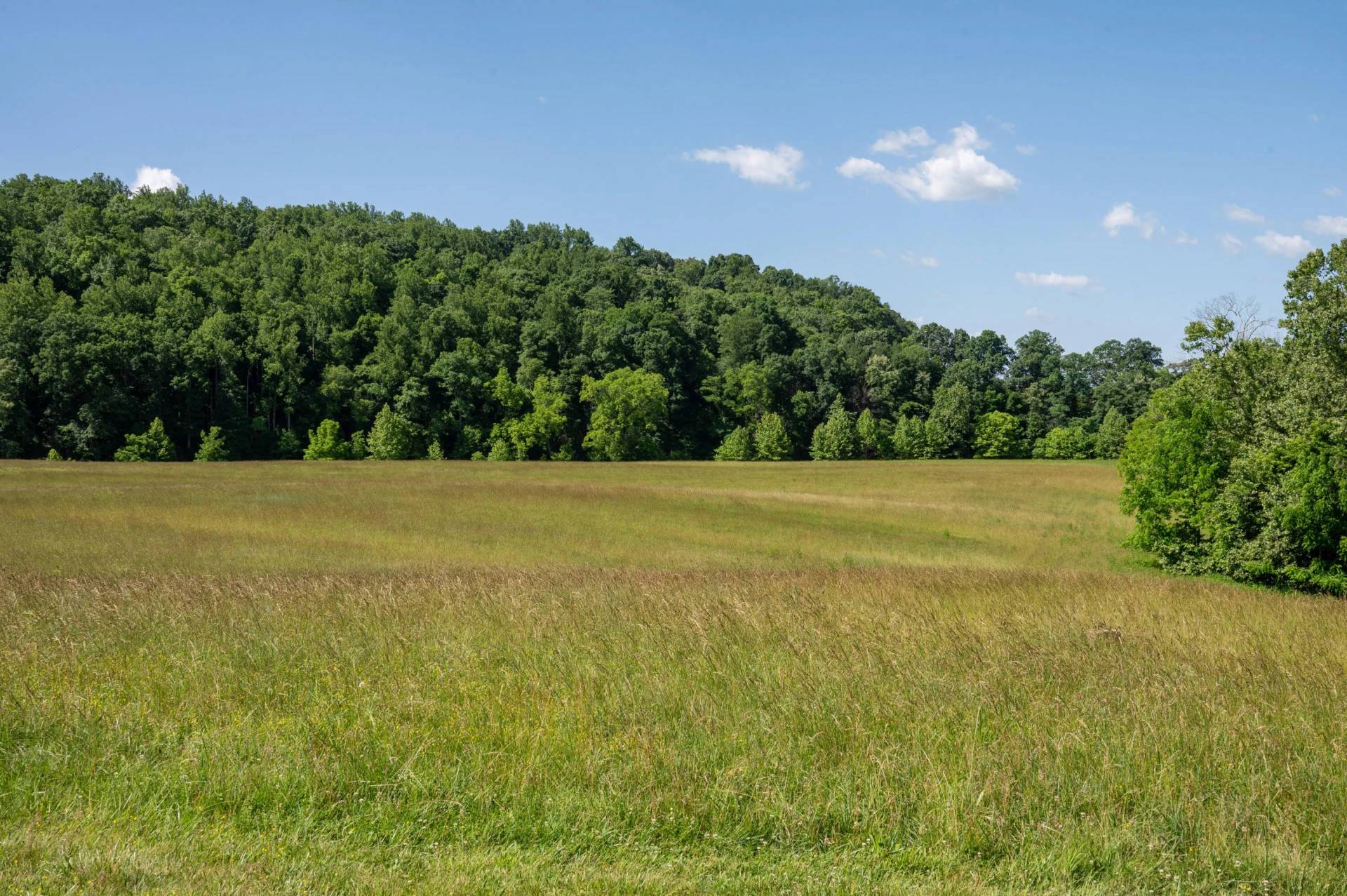567 Hays Creek Rd - Photo 50