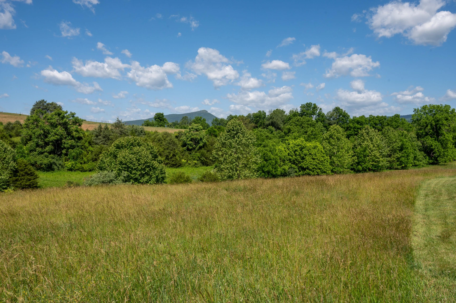 567 Hays Creek Rd - Photo 51