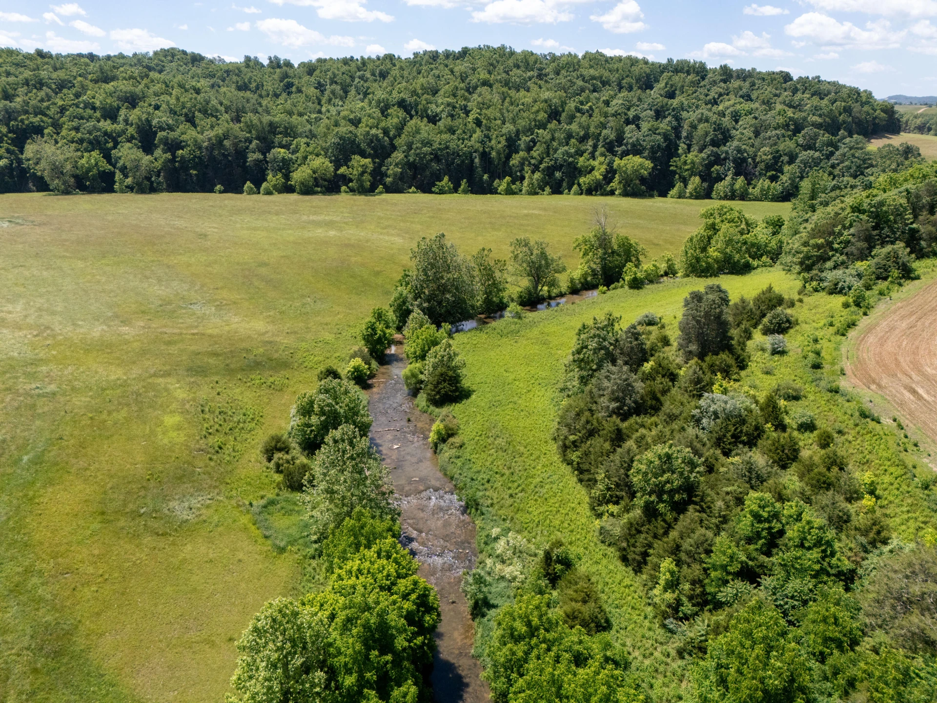 567 Hays Creek Rd - Photo 56