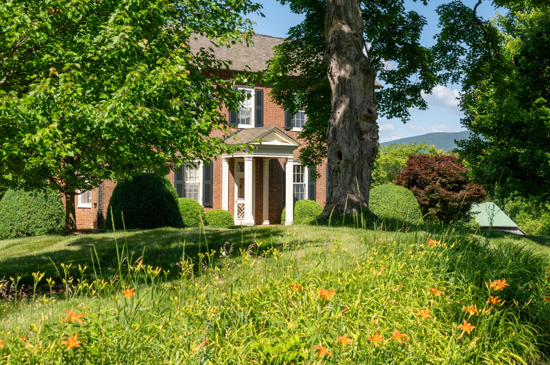 567 Hays Creek Rd - Photo 9