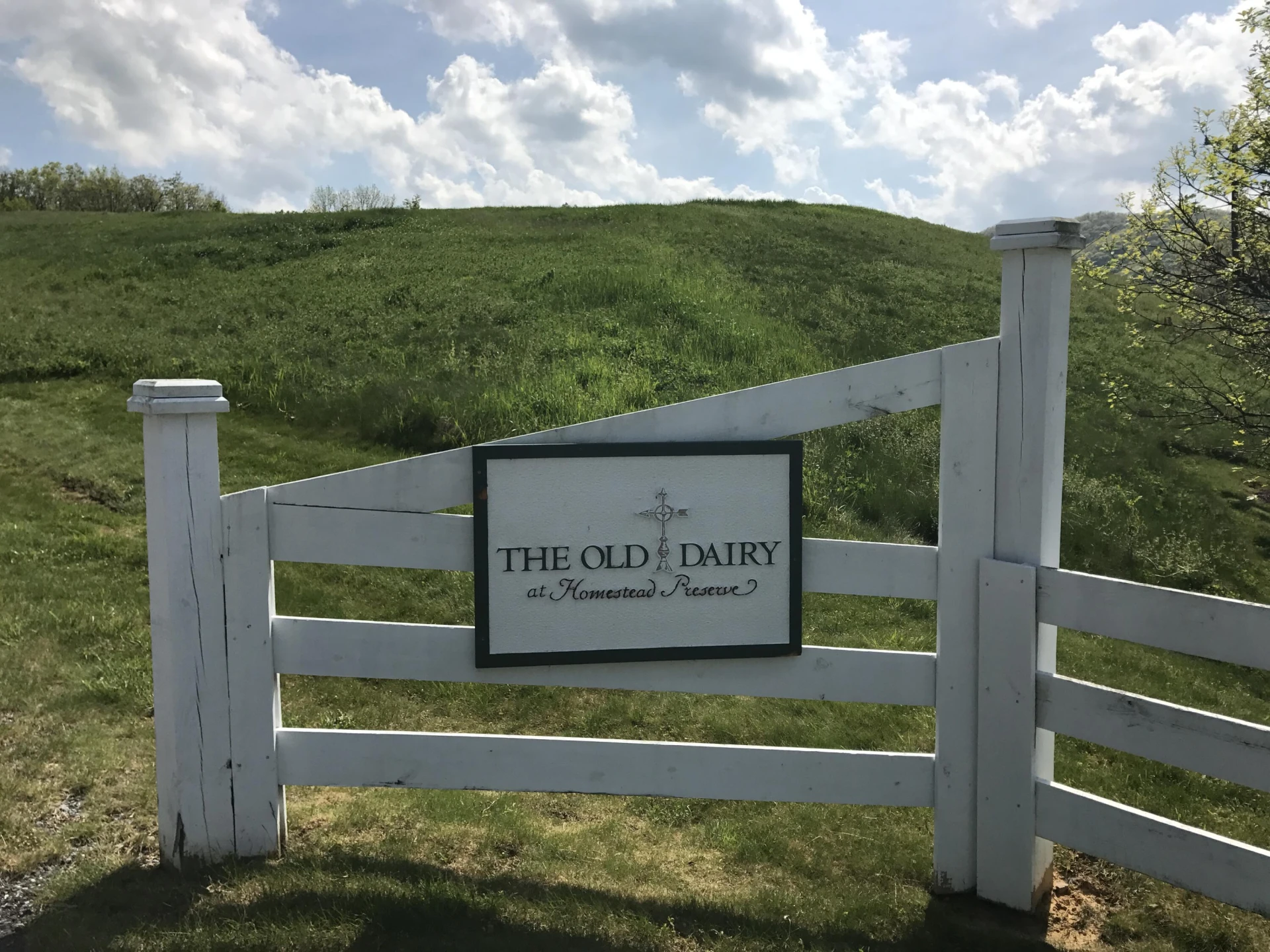 Lot #13 Old Dairy Road - Photo 3