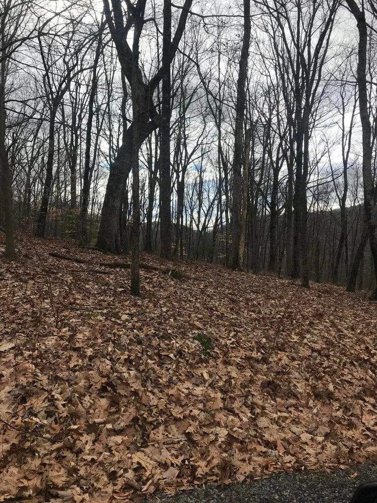 Lot #13 Old Dairy Road - Photo 5