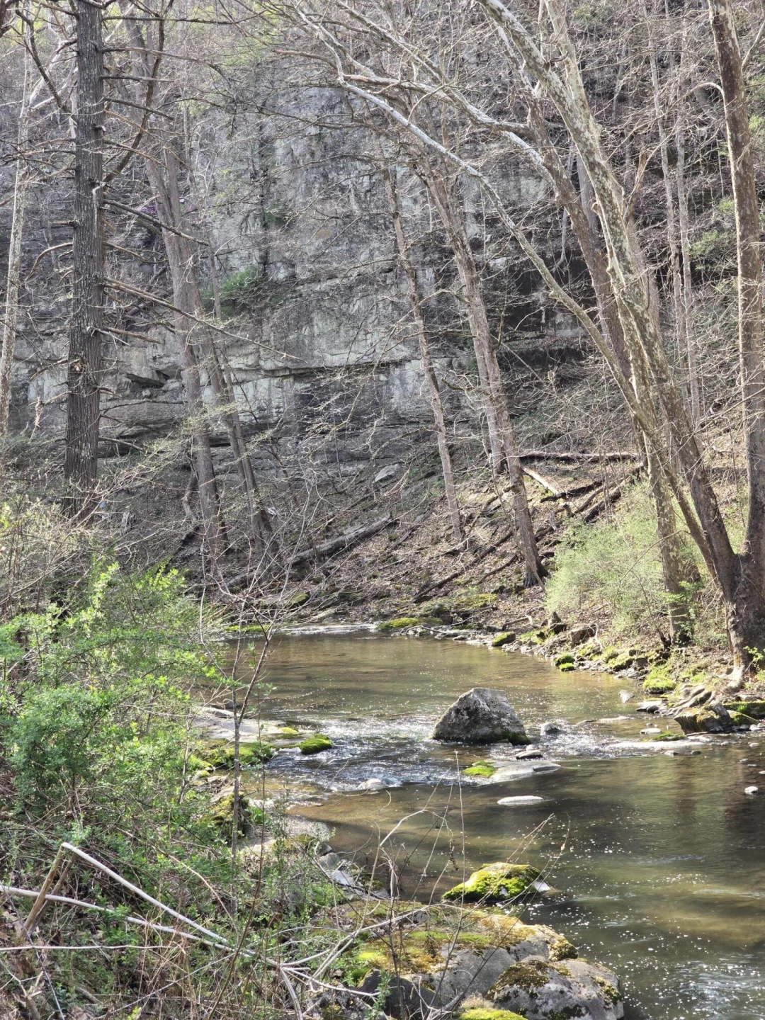 144 Seven Ridges Rd - Photo 90