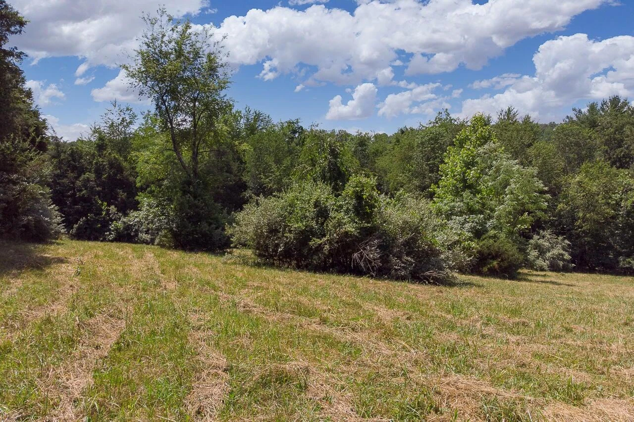 4.411 acre Shenandoah Rd - Photo 5