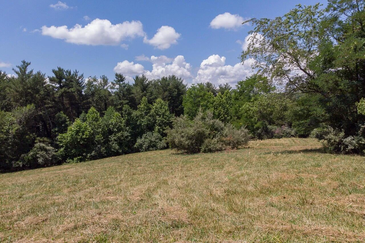 4.411 acre Shenandoah Rd - Photo 6
