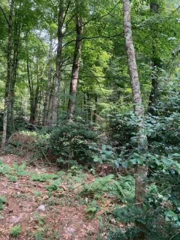 2286 Sam Snead Highway, Hot Springs, VA, 24445