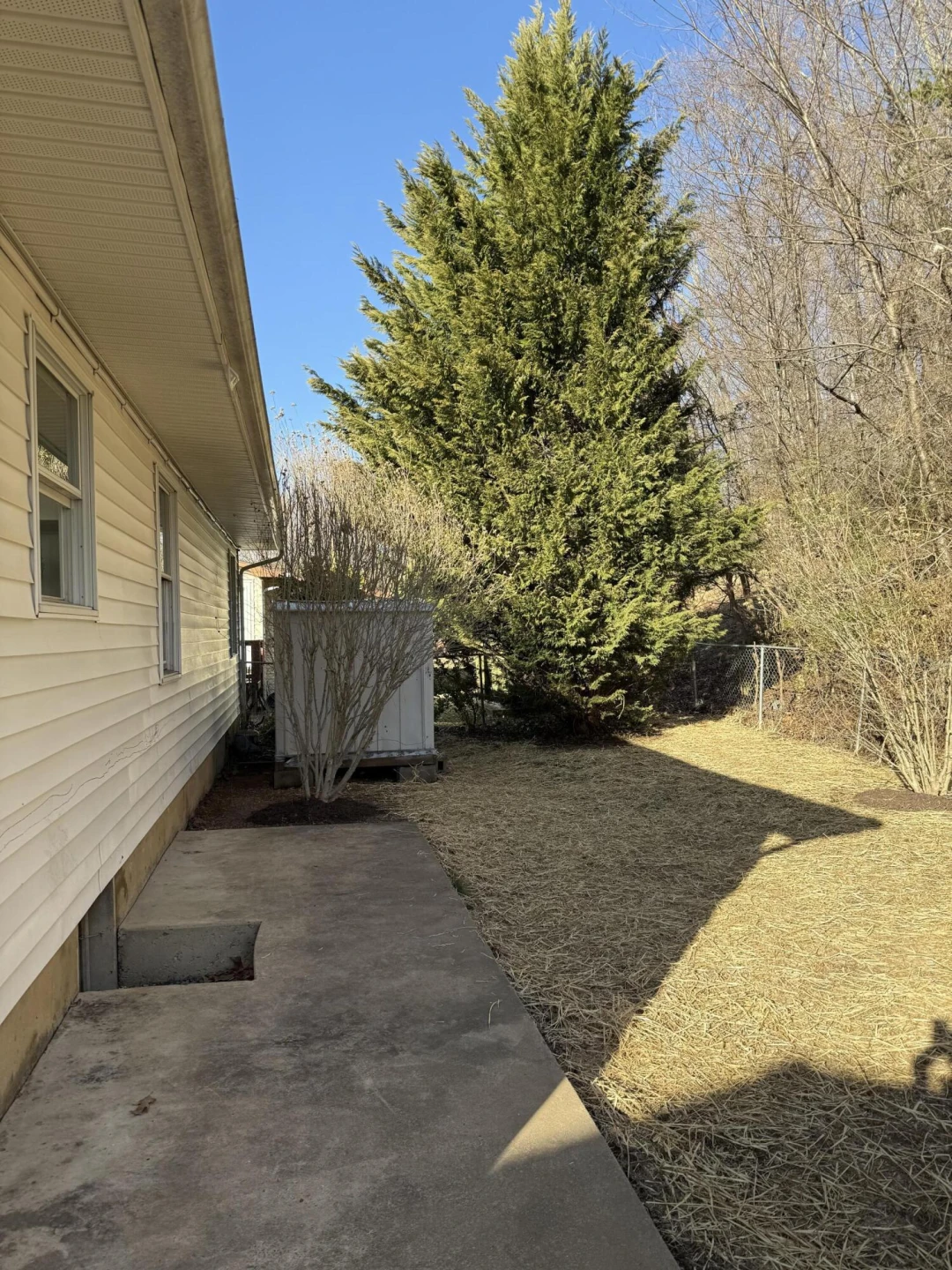 1914 Cedar Ave - Photo 5
